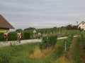 IMG_6447.jpg