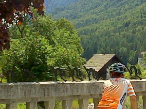 RR2014, 3rd Stage / Hounted bridge and seven black cats 