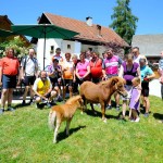 kmetija Odems v Predosljah