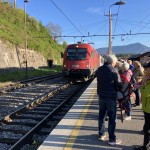 Belokranjska pogača