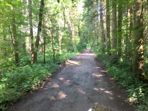 se peljali skozi prijeten hlad