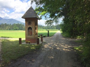 si odpočili na obronku gozda