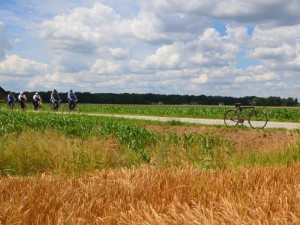 ..ali pšeničnih polj?