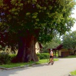 Rekreatur 2014, 2.etapa in pri lipi levo