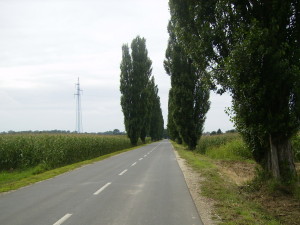 Le ena izmed ravnic 2. etape
