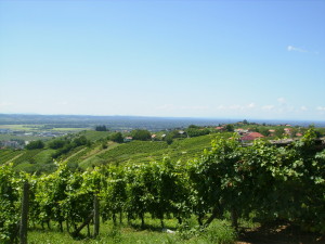 Pogled iz Lendavskih Goric- Radenci so tam daleč za obzorjem.