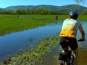 Mogoče bi bilo zanimivo broditi po močvirju..?