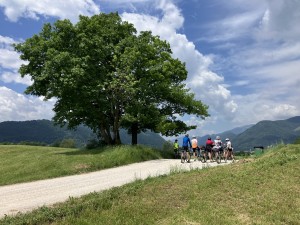 img_6559