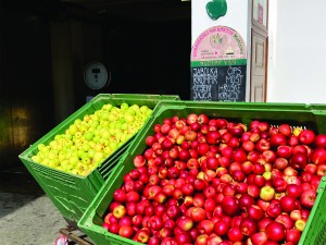 naklo-1